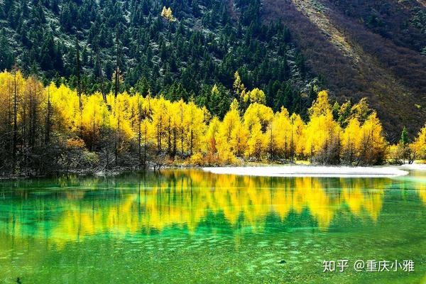 暑假成都旅游攻略,景点带你打卡网红攻略!piperoll2小雅图片
