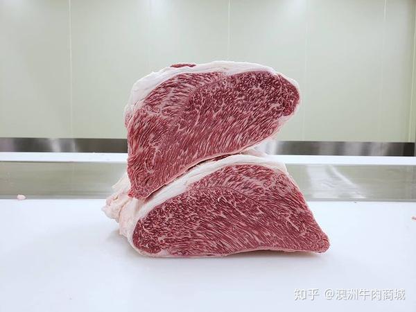 专业牛各部位实拍牛肉分割图