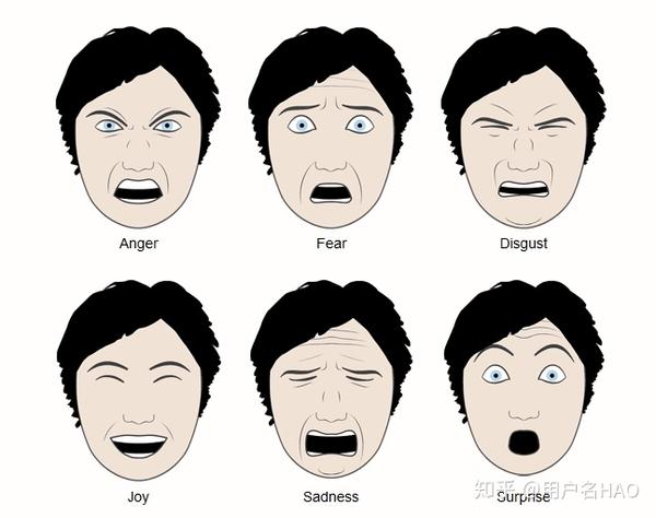 1972年,ekman提出 6大基本情绪(愤怒anger,厌恶disgust,恐惧fear