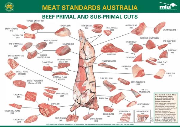 15 meat standards australia/(msa) graded 澳洲肉类标 评级