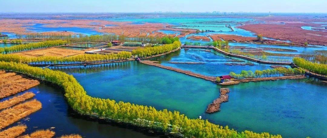 构建现代环境治理体系 为建设美丽中国提供有力制度保障