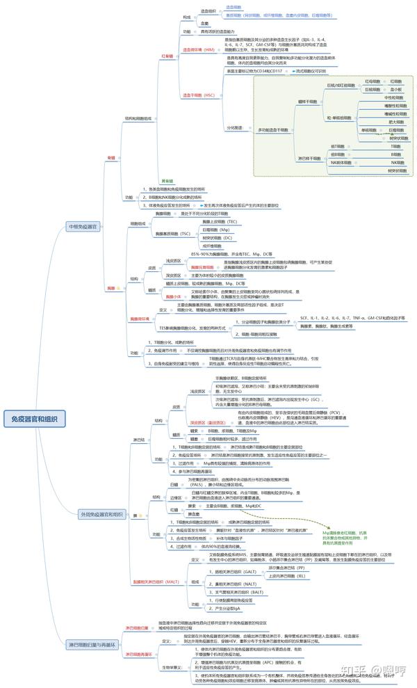 医学免疫学思维导图(二)