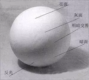 素描初学者怎样画明暗交界线