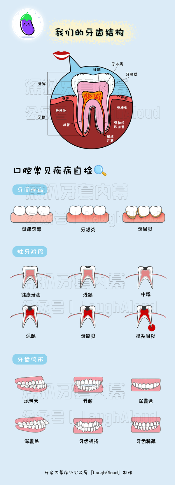 茄子 额外找了一些牙齿结构图,让大家对自己的口腔基本状况以及常见