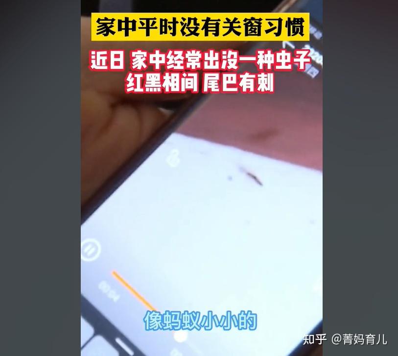 两个月婴儿全身溃烂有脓妈妈称家里不关窗被毒虫趁虚而入