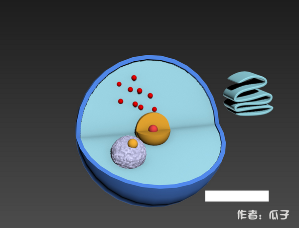 如何用3ds max构建细胞核模型
