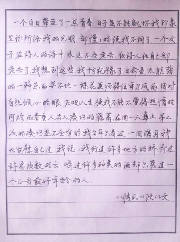 沈从文情书钢笔字笔友习作欣赏