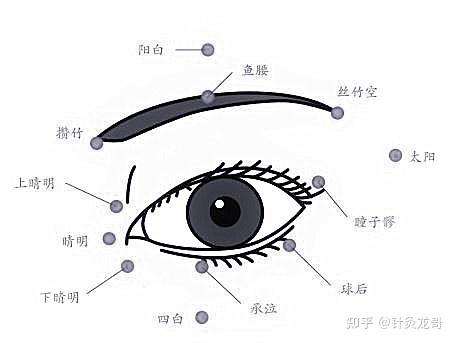 这么多的眼部疾病,针灸可以治疗哪些呢?具体该如何治疗?