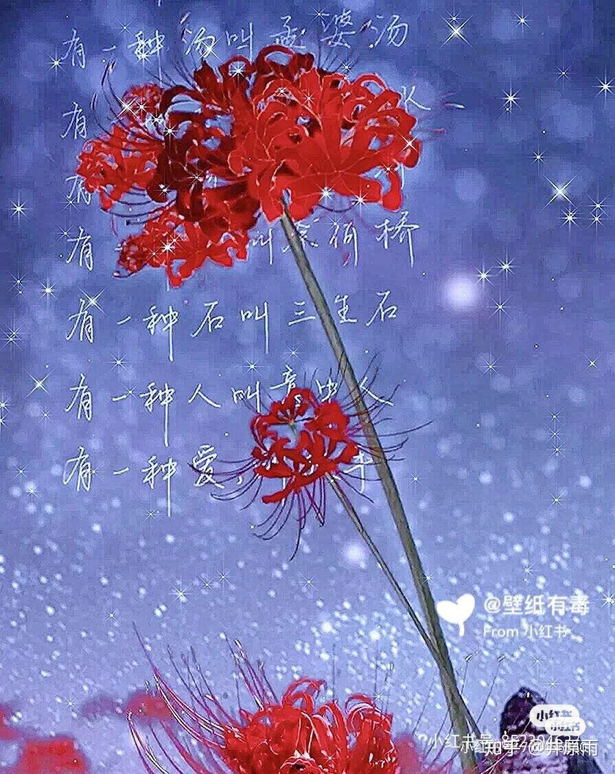 奈何桥上 你轻叹,许我来世情缘.花开叶落无双生,相思相念永不负.