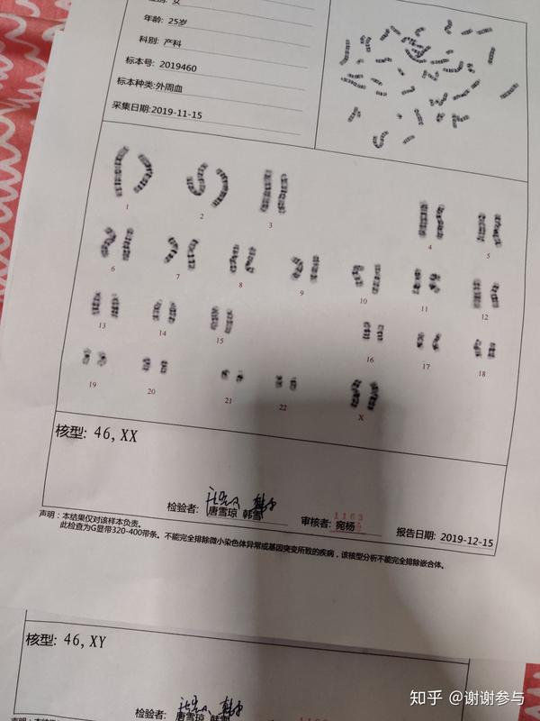 无创14号染色体偏多,24 引产