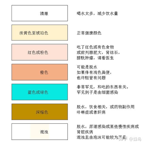 尿液颜色分析