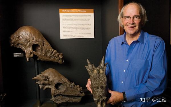 图注:古生物学家杰克·霍纳拿着肿头龙类的化石,图片来自网络