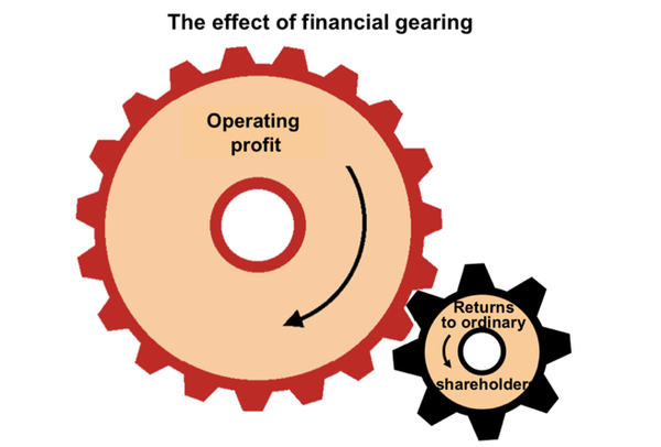 financial gearing/solvency ratios :财务杠杆指标,反映企业资金