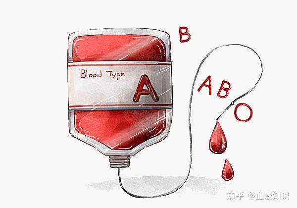 频繁输血的血液病患者,需要了解这几点!