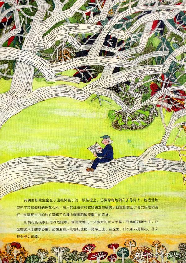 精读绘本《弗朗西斯森林奇遇记》,思考艺术创作,自然演化,人与环境的