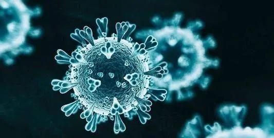 巴西亚马孙州发现的新冠病毒变异株 恐致患者二次感染
