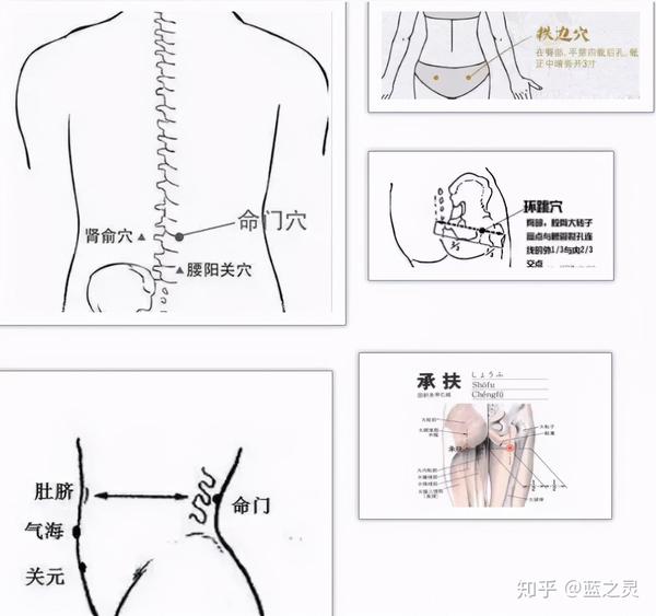 经过 命门穴,肾俞穴,环跳穴,秩边穴,承扶穴, 疏通经络,让臀部 气血