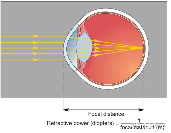 视觉系统2之图像在眼睛中如何形成