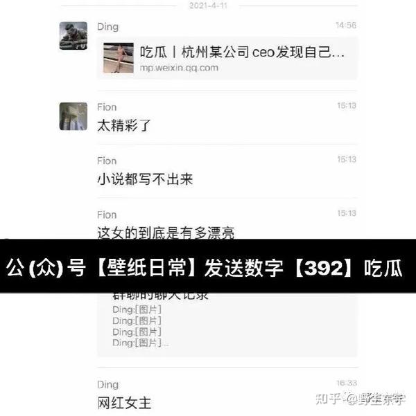 女网红ceo富二代65页ppt热心网友如何利用这个瓜赚钱