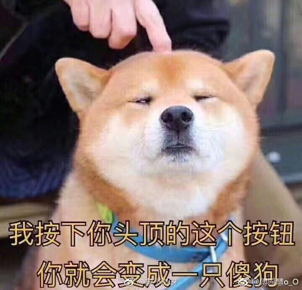 你有哪些关于猫狗的表情包?