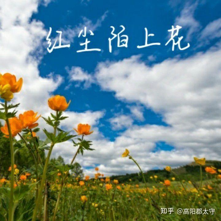 红尘陌上花