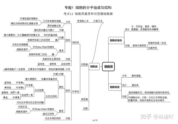 超全:75页高中生物思维导图(考点版),另附制作方法