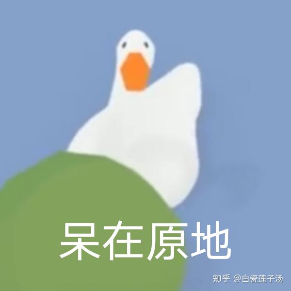 捣蛋鹅表情包!