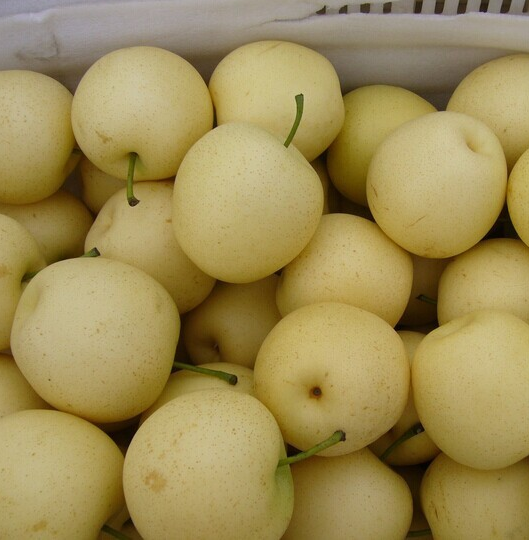 禾田物语梨都有哪些品种梨有什么功效与作用哪种梨最甜最好吃呢