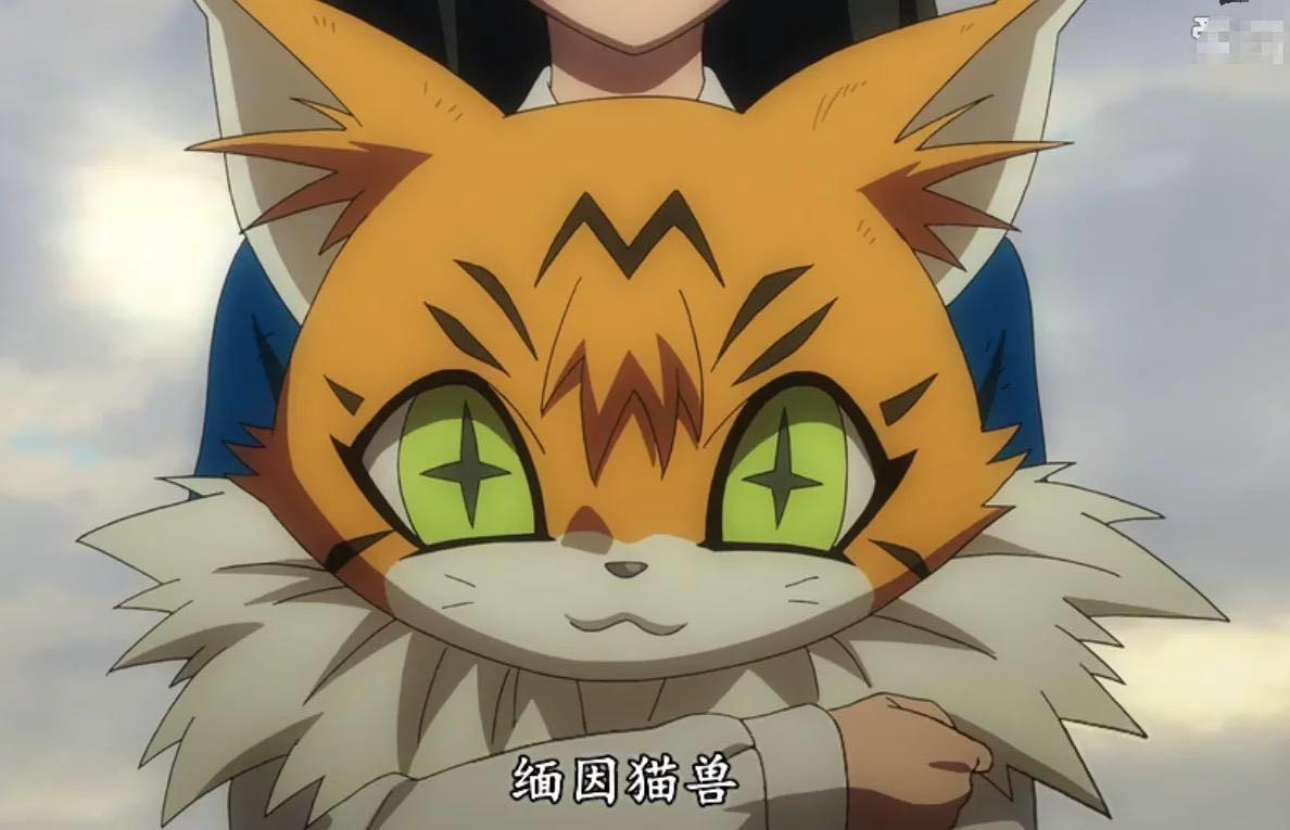 2015-11-21当初了解到缅因猫是因为一部"数码宝贝tri.