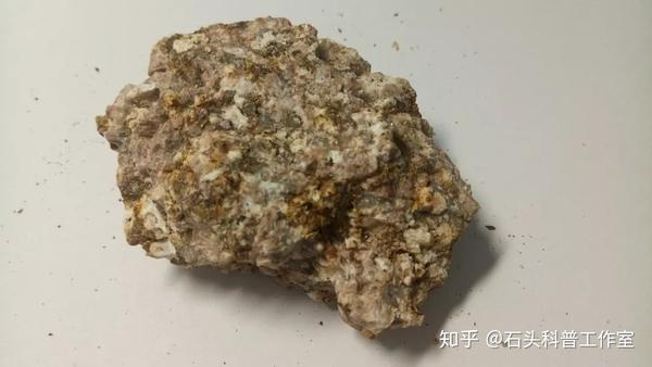 石头科考 | 九��山科普考察
