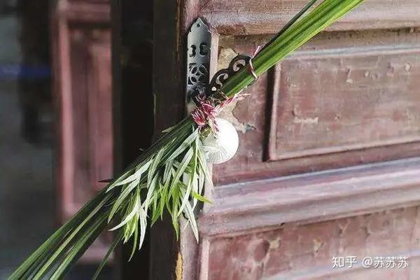 并用菖蒲,艾叶,榴花,蒜头,龙船花,制成人形或虎形,称为艾人,艾虎;制成