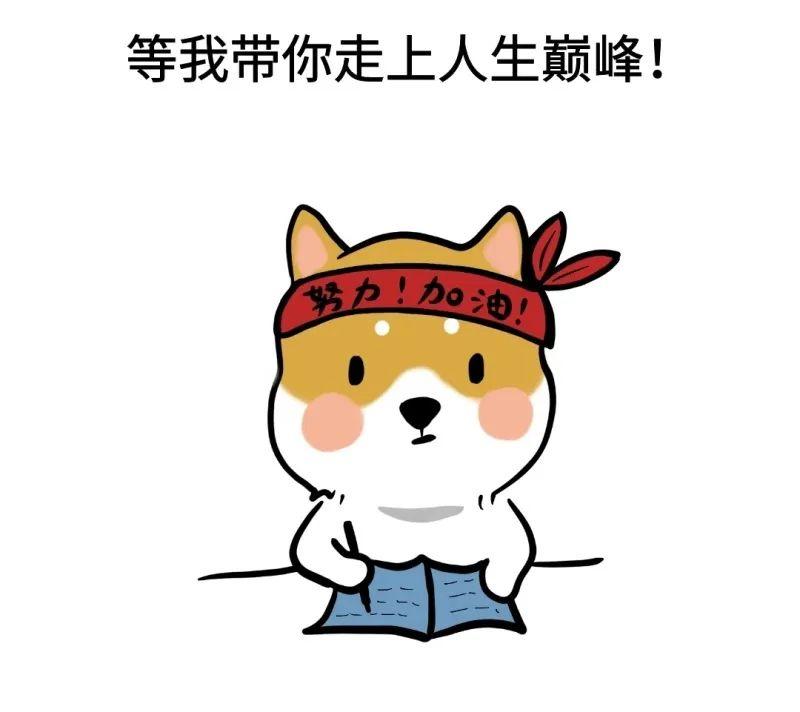 专升本第一年考不上还可以再考吗?