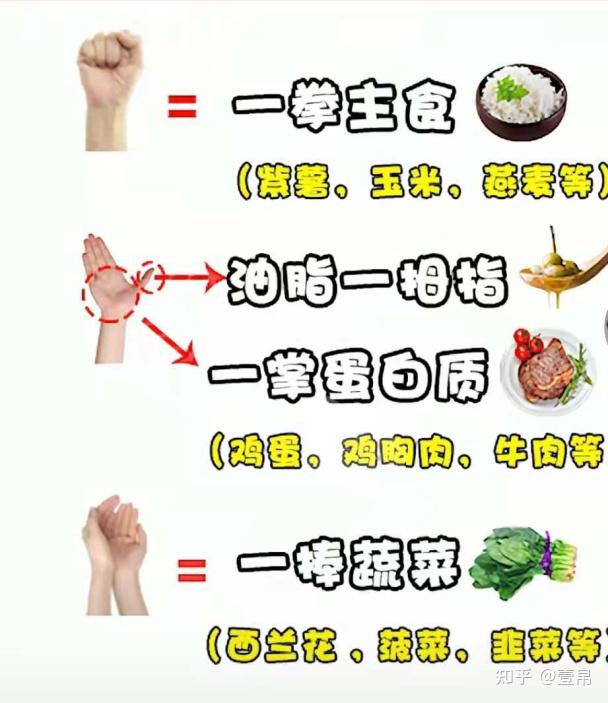 减肥期间主食吃多少比较好.
