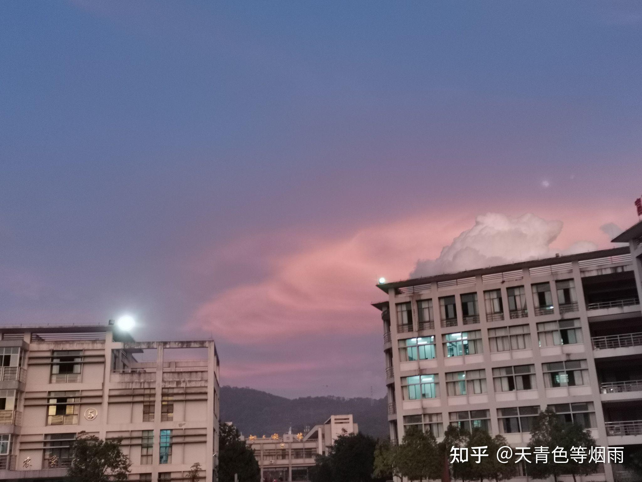 麻烦可以评论几张滇西应用技术大学普洱茶学院的照片吗