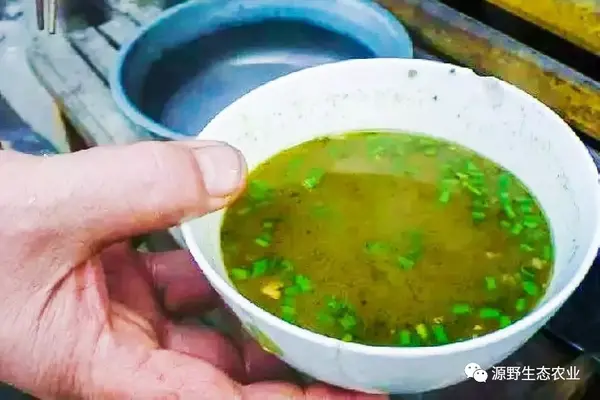 吃过的人大多都会这样形容这道菜:未煮之前臭草味,正煮之时牛粪味