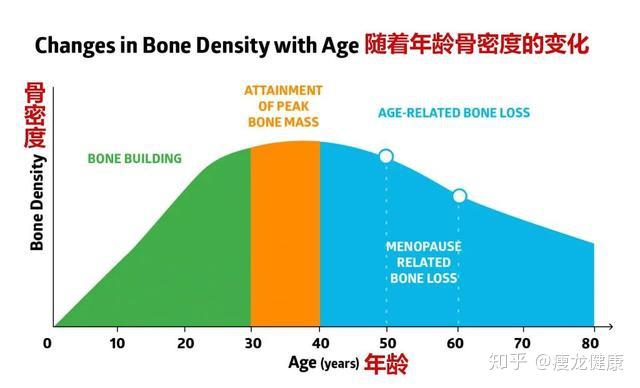 人体的骨密度和骨量,一般会随着年龄逐渐增长,直至顶峰,到35-40岁左右