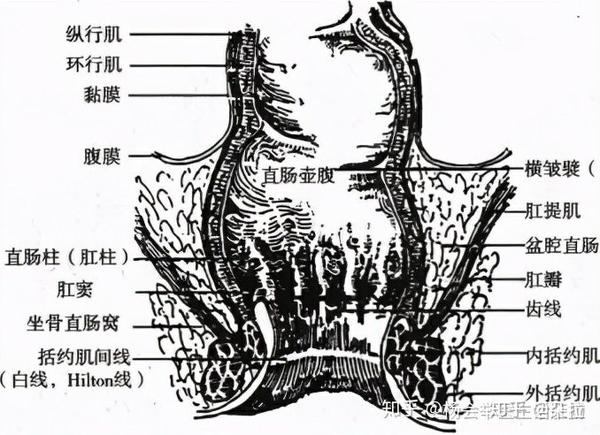 zhuanlan.zhihu.com