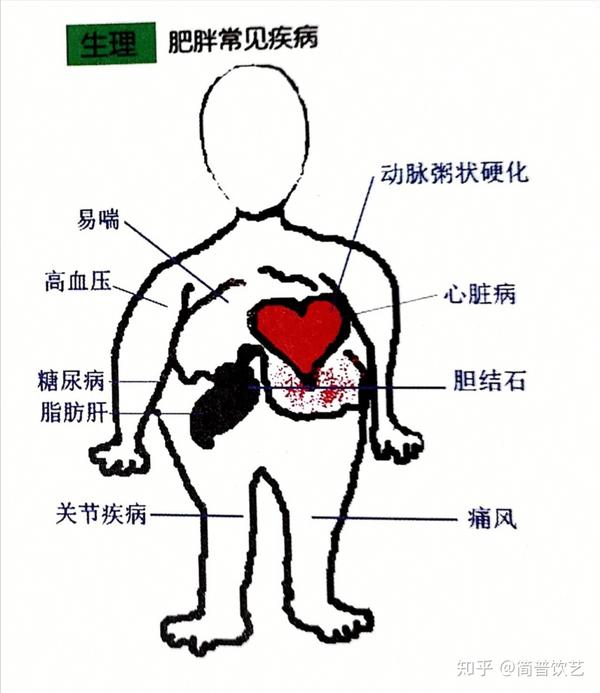 普洱茶v医院?用医院告你价格罗店科学中医减肥图片