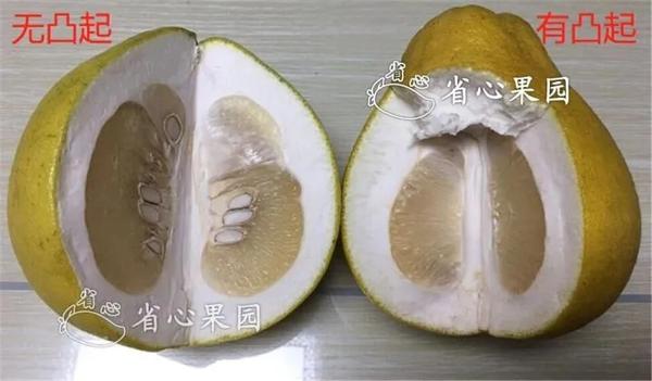 怎么挑到好柚子?掌握这4个秘诀,就不会再被坑啦