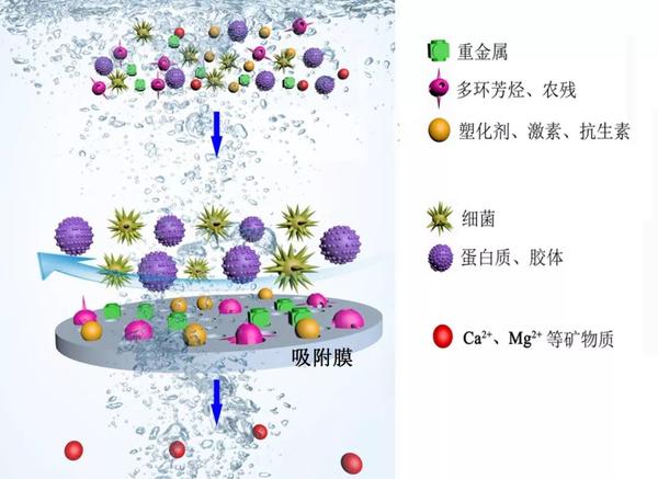 兼具孔径筛分与选择性吸附双重分离机制的吸附型分离膜示意图