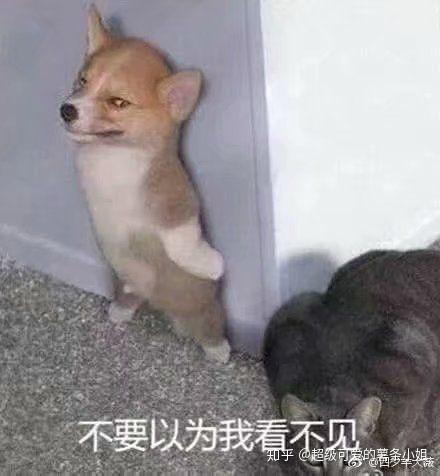 有哪些让你欲罢不能的沙雕头像?