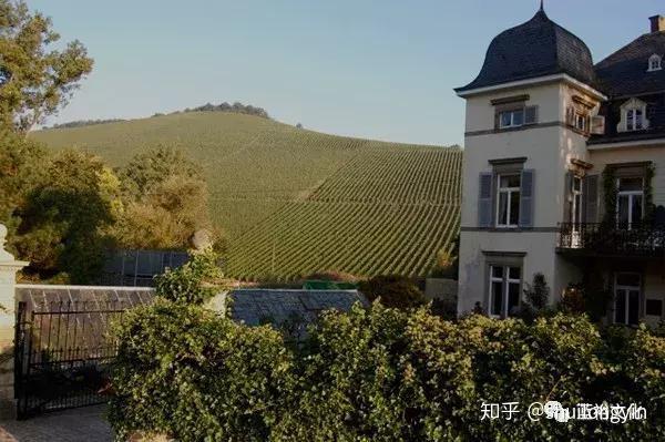 伊慕酒庄(weingut egon muller – scharzhof) 伊慕酒庄,地处德国