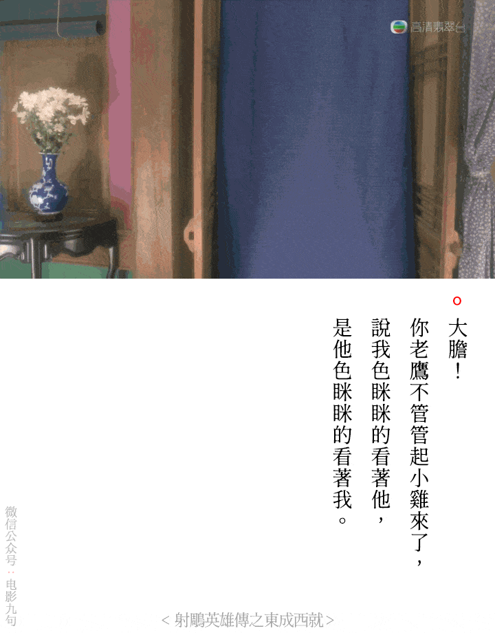 鹿鼎记ii神龙教 (1992):林青霞饰演神龙教主龙儿,韦小宝这个人貌丑如