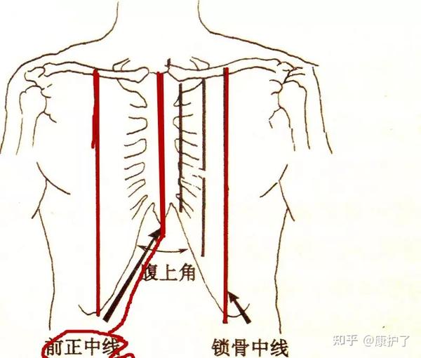 沿身体前中线所做的垂线, 胸骨柄上缘中点—剑突锁骨中线