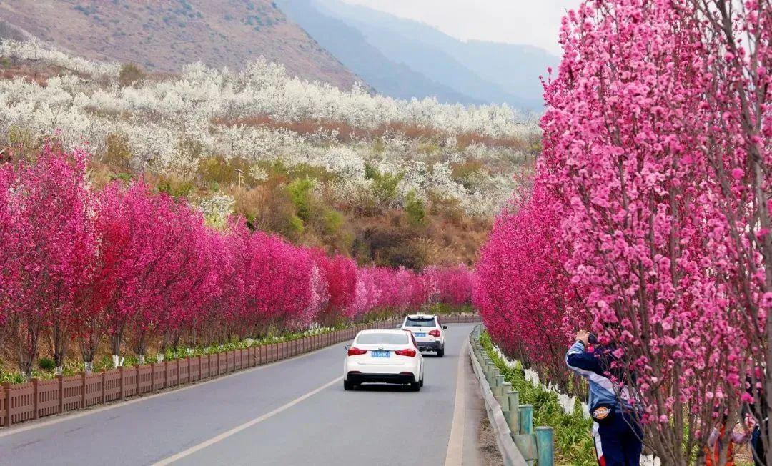 汉源赏花旅游文化月系列活动的不断推出,将"花 文体旅"的优势发挥到