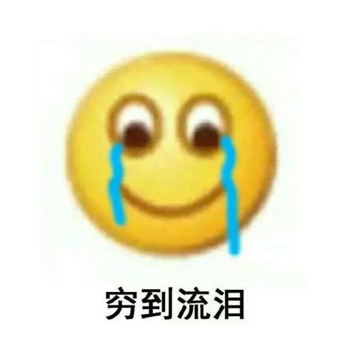 贫穷表情包满脸都写着两个大字贫穷o╥﹏╥o