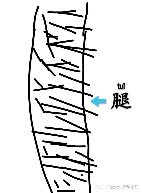 男生看到有腿毛的女生是什么感受?