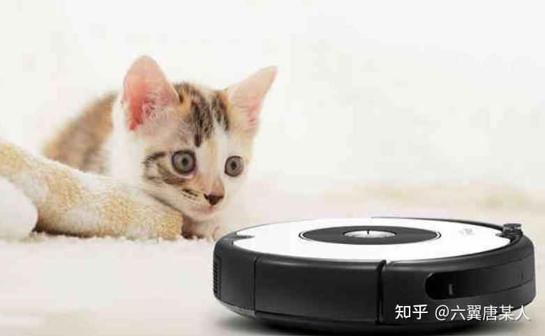 2021适合养猫养狗和各种小宠物的扫地机器人选购指南