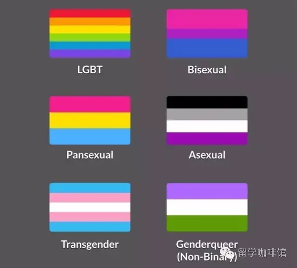 lgbt,双性恋,泛性恋,无性恋,变性者,genderqueer旗帜颜色