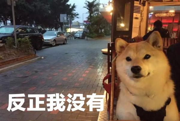 上学路上 画面辣眼睛,不忍直视. 放学回家 ▼ 喂,你们的狗粮撒了!